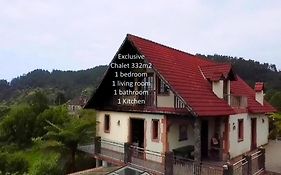 Santana, Flowers'S House